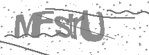 visual captcha